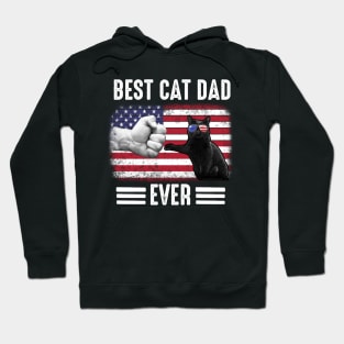 Best Cat Dad Ever Costume Gift Hoodie